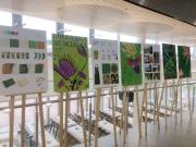 Студенты СПбГУ представили проекты, посвященные экологии