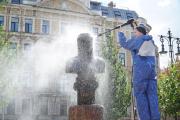 Вымыть голову царю: как реставрационный проект студентки СПбГУ помогает сохранить облик города